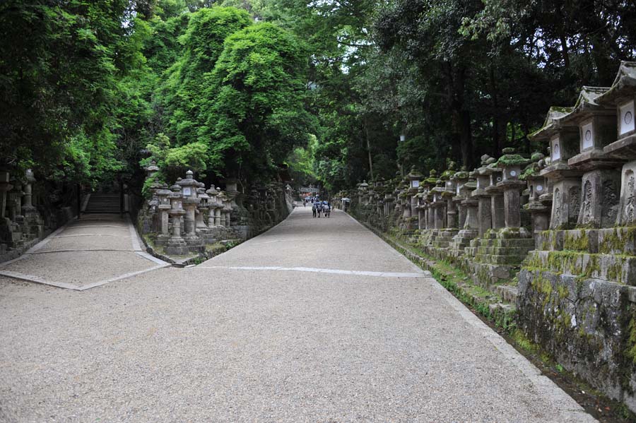 興福寺 と 春日大社　（奈良）_a0042310_13524882.jpg