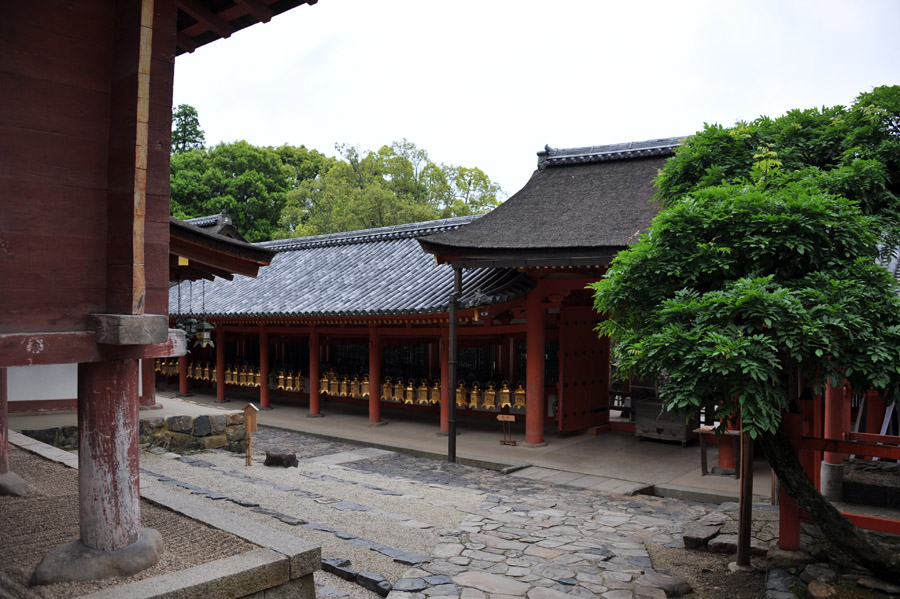 興福寺 と 春日大社 (奈良)_a0042310_13541585.jpg
