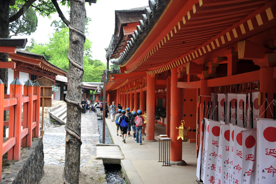 興福寺 と 春日大社　（奈良）_a0042310_1355505.jpg