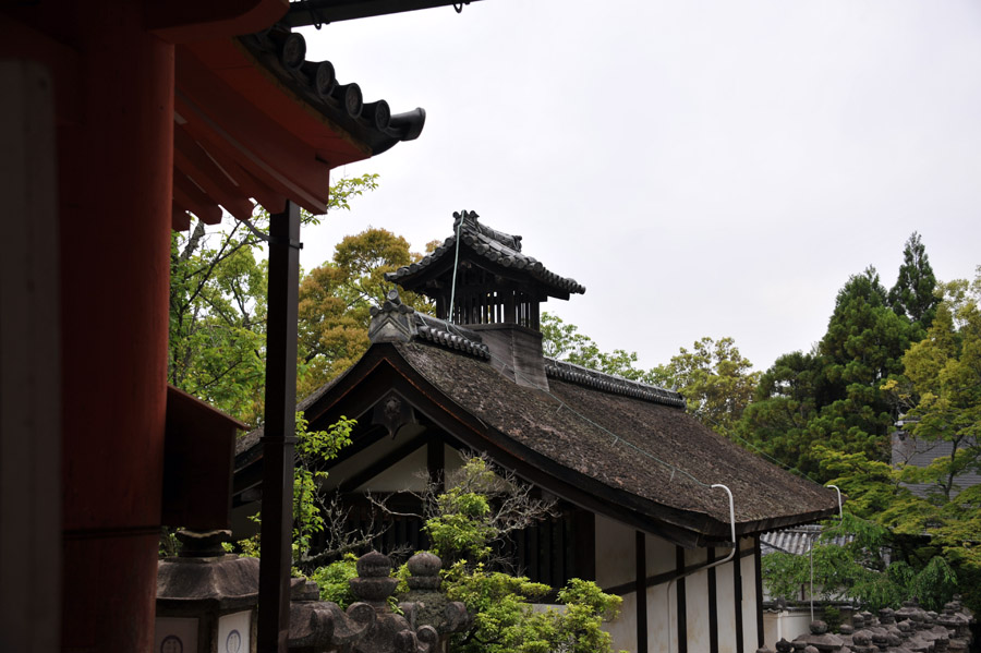 興福寺 と 春日大社 (奈良)_a0042310_1356144.jpg