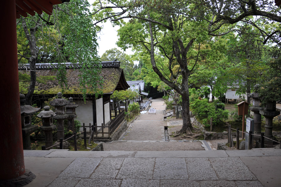 興福寺 と 春日大社　（奈良）_a0042310_13563142.jpg