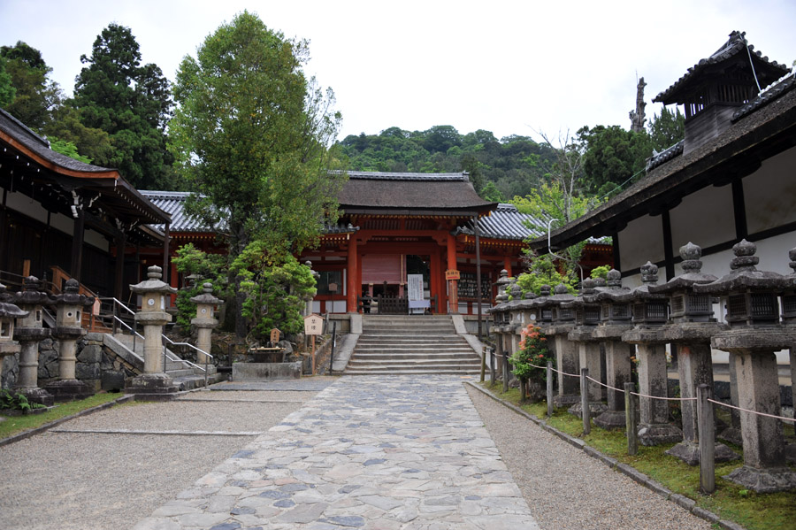 興福寺 と 春日大社　（奈良）_a0042310_13565077.jpg