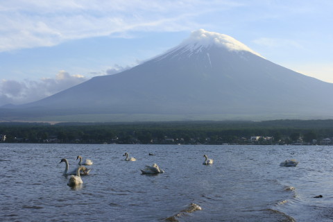 ６月の富士山_d0160611_20574262.jpg