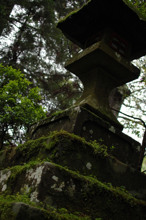 箱根の写真　一日目_c0147116_1647335.jpg