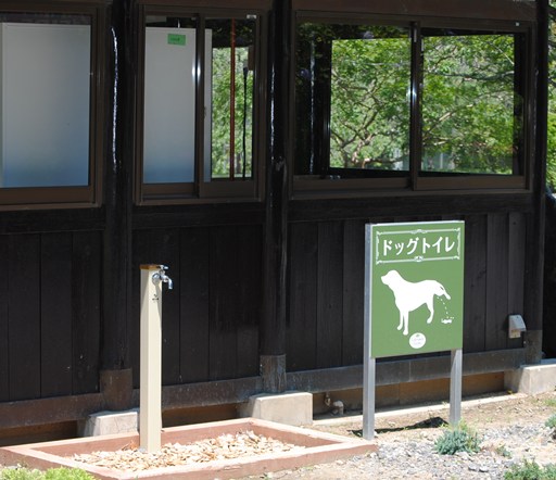 千葉県茂原市　ひめはるの里（２）_c0039924_2222217.jpg