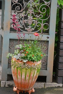 f0170524_1331267.jpg