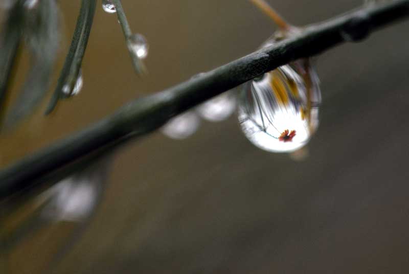 雨の日も楽し♪゜･:＊:･。♪☆_f0060531_122972.jpg