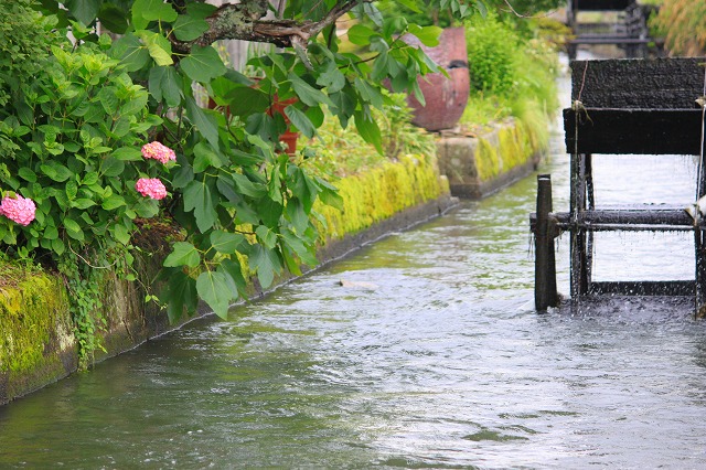 6月20日　学区　浅原～祐安_a0045932_17445928.jpg