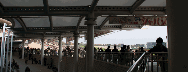 c0030536_2215327.gif