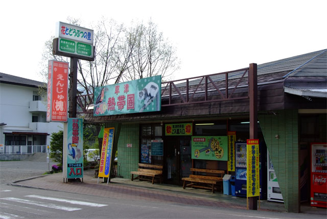 タイムマシーンにお願い_a0179837_23313033.jpg