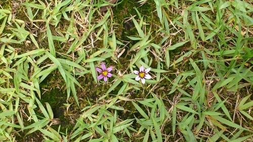 f0229844_0143264.jpg