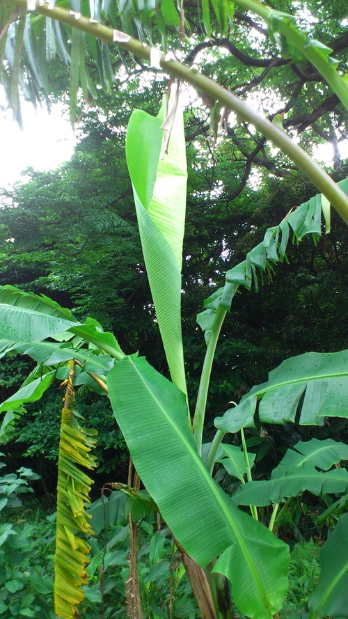 f0229844_22285386.jpg