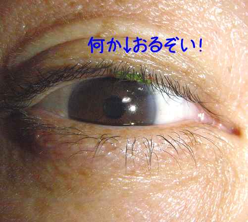 a0095546_2322593.jpg