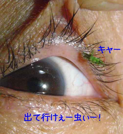 a0095546_23233294.jpg