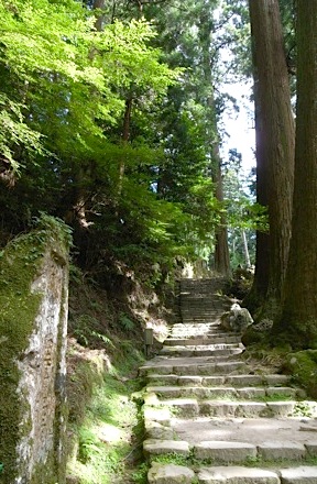 b0025850_1261916.jpg
