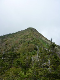 武尊山登山  2011.06.19_c0174153_0214092.jpg