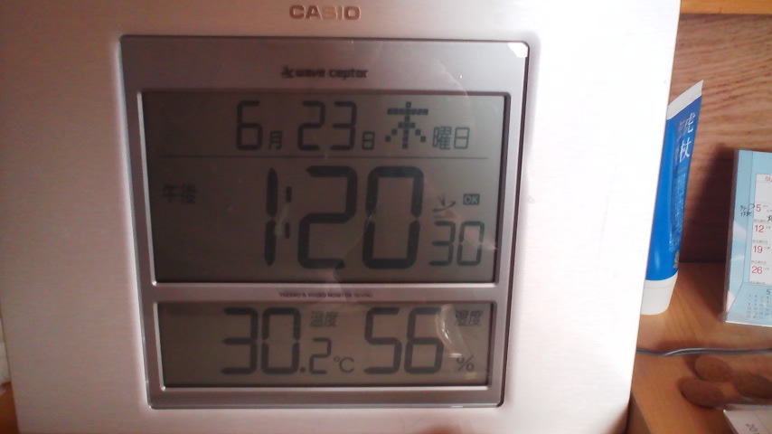 ぐんぐん伸びてます!_a0117168_13231234.jpg