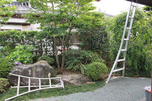b0224178_17111069.jpg