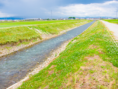 用水でのアユ釣り_c0203681_1757486.jpg