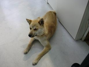 ある日の定休日の出来事_f0172281_61371.jpg