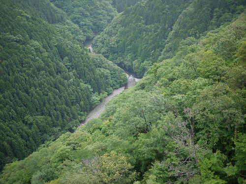 e0197785_20344.jpg