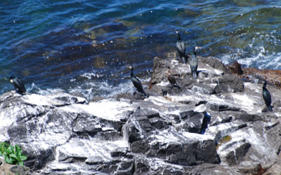 f0159390_112316.jpg