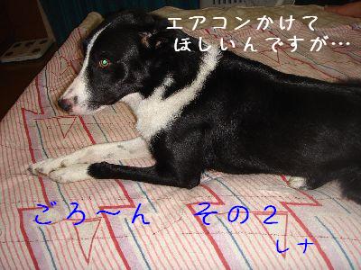 b0101991_2225618.jpg