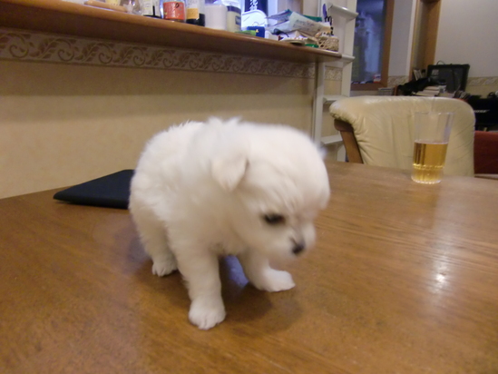 ちょうど良い_e0119092_10225659.jpg