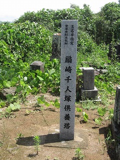 ２０１１島原大変・肥後迷惑（岱明町）・千寿の楽しい歴史_a0137997_70598.jpg