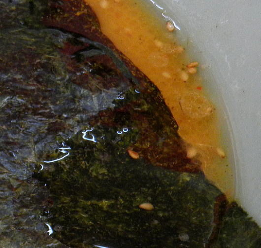 b0055202_21283648.jpg