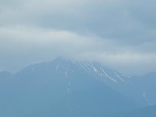 光城山 28　桑の実_d0032405_23264663.jpg