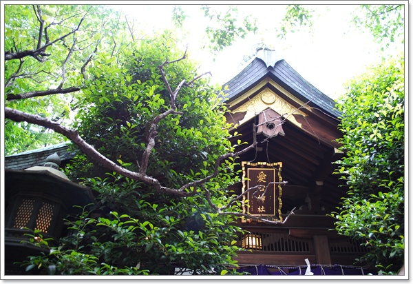 愛宕神社　千日詣り　～　ほおすき市_c0051107_9511154.jpg