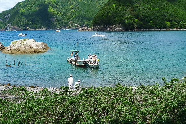 天然記念物指定が進められている元須賀利の海跡湖（大池）やその湖畔のハマナツメを視察しました。_a0196709_19523531.jpg