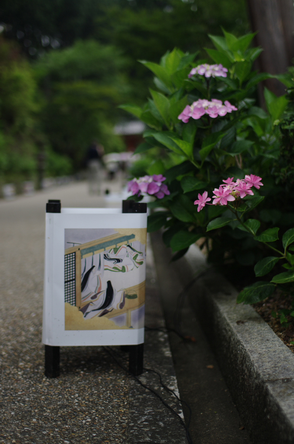 三室戸寺 紫陽花 ことばのはおと ／ DA 12-24mm F4 ED AL_f0221510_236780.jpg