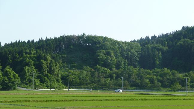 d0181314_13563298.jpg