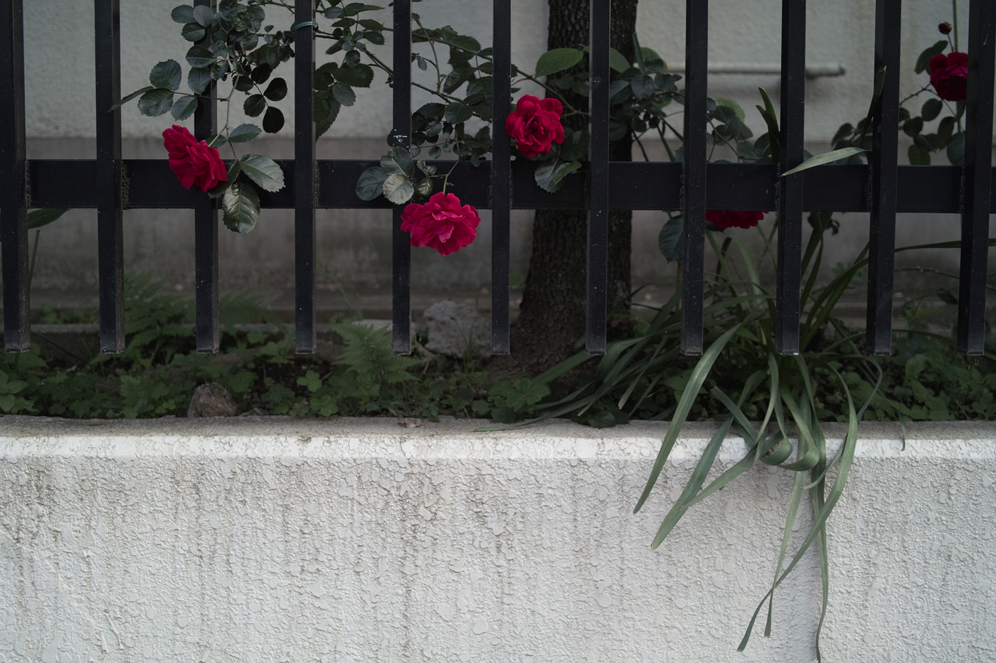 c0213117_1315360.jpg
