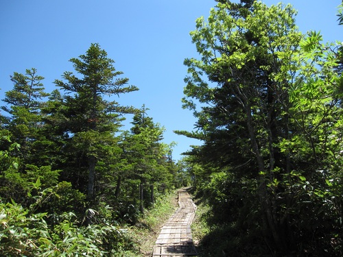 f0149422_22302662.jpg