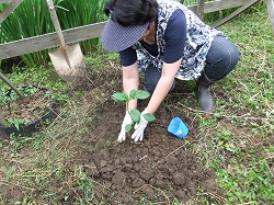 名古屋から農泊に来られました☆_e0061225_11121014.jpg