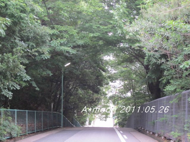 d0126727_13302763.jpg