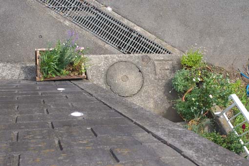 c0227728_14293587.jpg