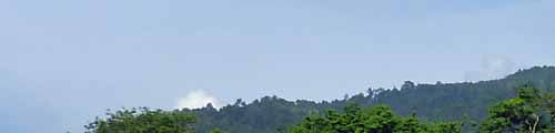 b0063436_1157132.jpg