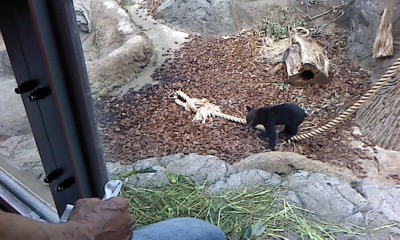 上野動物園にて_b0217741_2145516.jpg