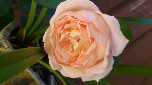 f0229844_2222540.jpg