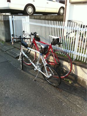 遂にやって来た、かわいいあんちくしょう！ その2。_b0136045_1827349.jpg