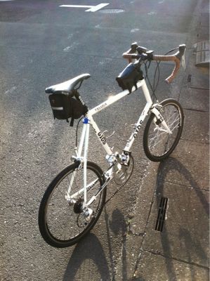 遂にやって来た、かわいいあんちくしょう！ その2。_b0136045_1827675.jpg