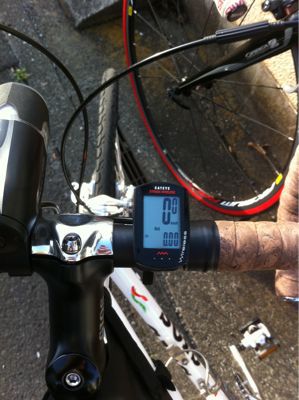 遂にやって来た、かわいいあんちくしょう！ その2。_b0136045_1827779.jpg