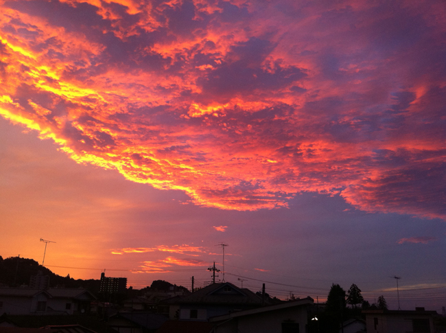 今朝の東京の空、まるで夕焼けみたい_f0104645_7441015.jpg