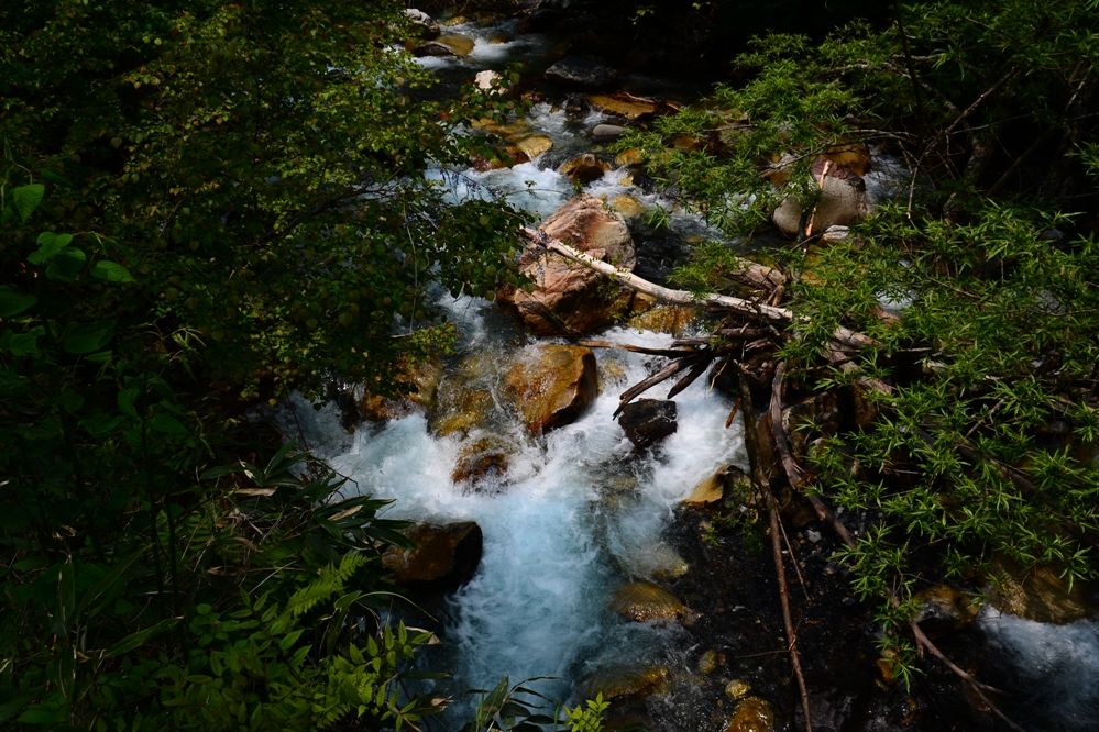 river(須砂渡渓谷・烏川）_e0223456_8555281.jpg