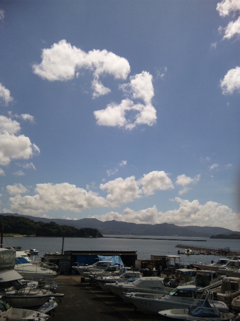 暑い!_a0077071_18515413.jpg