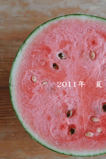 7月のＦｏｏｄｉｎｇ開催日_c0116778_17311382.gif